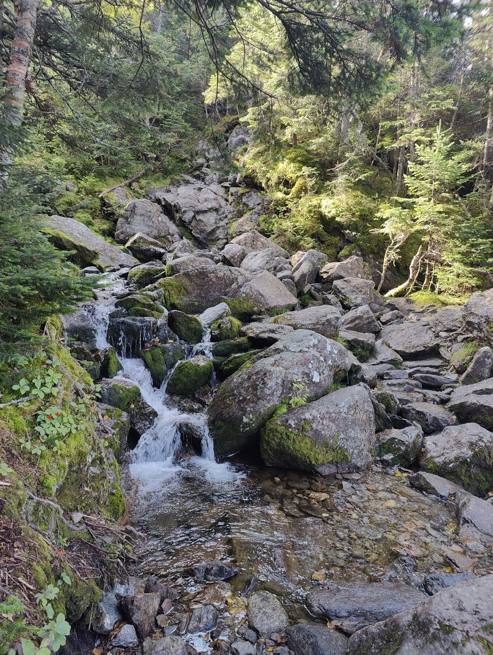 mt-washington-ammonoosuc.jpg