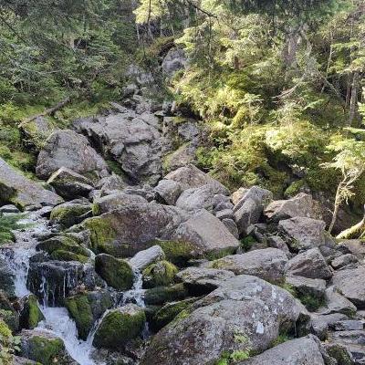 mt-washington-ammonoosuc.jpg